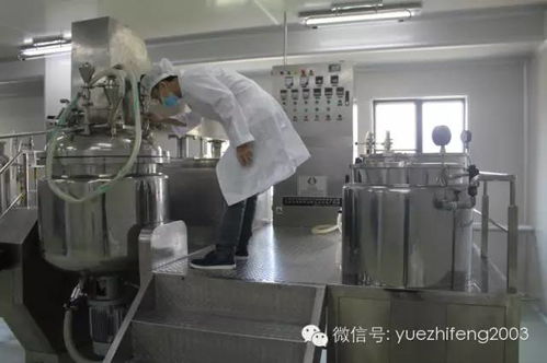 十年磨一劍 探訪全國第一大凍干粉生產基地的專注與創新之路